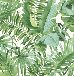 Alfresco Green Palm Leaf Wallpaper by A-Street Prints