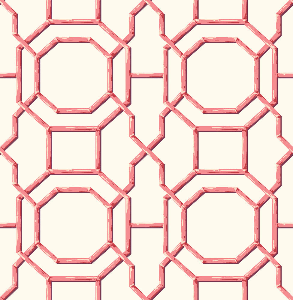 Summer Coral Trellis Wallpaper by A-Street Prints Solstice Covers about 56.4 square feet 20.5-in by 33-ft long roll Unpasted 20.9 - Fabric Carolina -