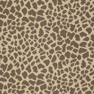 Daktari Leopard by Kravet Basics Fabric