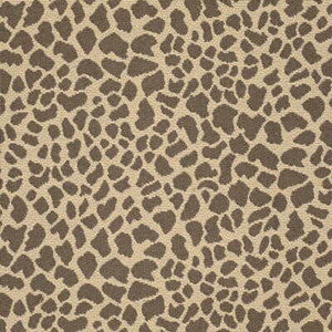 Daktari Leopard by Kravet Basics Fabric