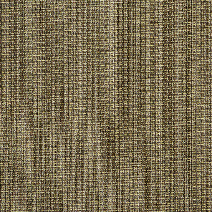 2750 Meadow by Charlotte Fabric Durables II 100% Woven Polyester Made In USA Exceeds 100,000 Wyzenbeek Rubs (Heavy Duty) Horizontal: 13" 54 Inches - Fabric Carolina -