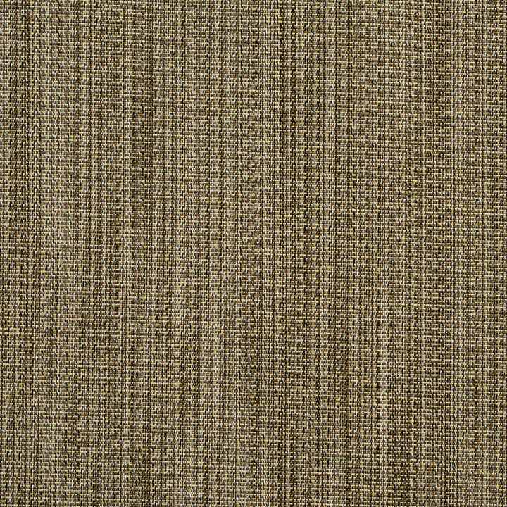 2750 Meadow by Charlotte Designer Fabric Durables II 100% Woven Polyester Made In USA Exceeds 100,000 Wyzenbeek Rubs (Heavy Duty) Horizontal: 13" 54 Inches - Swanky Fabrics -