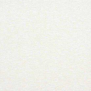 Effervesce Ivory by Kravet Fabric