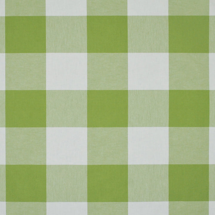 Call Me Kiwi Rb21 370 by P Kaufmann Fabrics Fabric