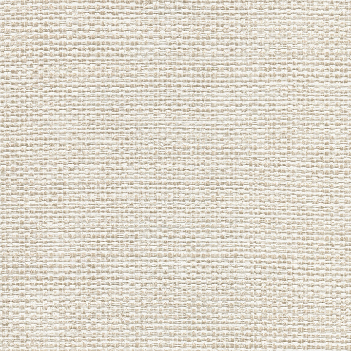 Caviar Platinum Basketweave Wallpaper by Warner Textures & Weaves Covers about 60.8 square feet 27-in by 27-ft long roll Unpasted 0 - Fabric Carolina -
