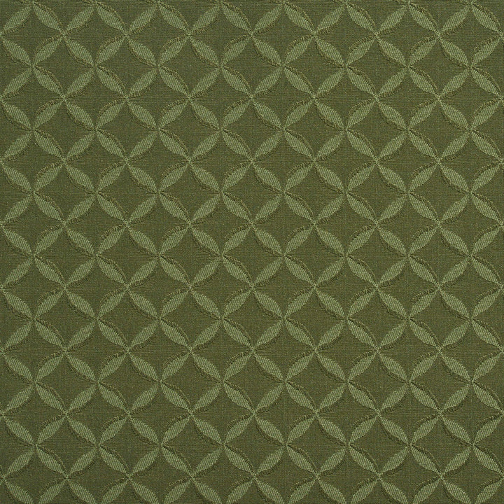 2758 Aloe by Charlotte Designer Fabric Durables II 100% Woven Polyester Made In USA Exceeds 100,000 Wyzenbeek Rubs (Heavy Duty) Horizontal: 1" x Vertical: 1" 54 Inches - Swanky Fabrics -