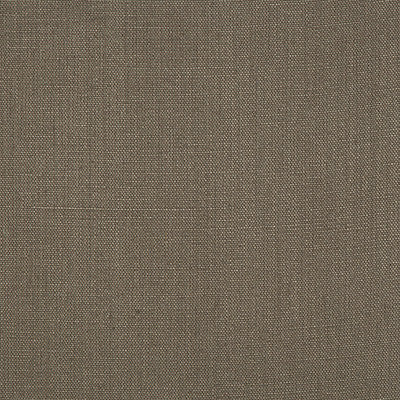 Stone Harbor Golden by Kravet Basics Fabric