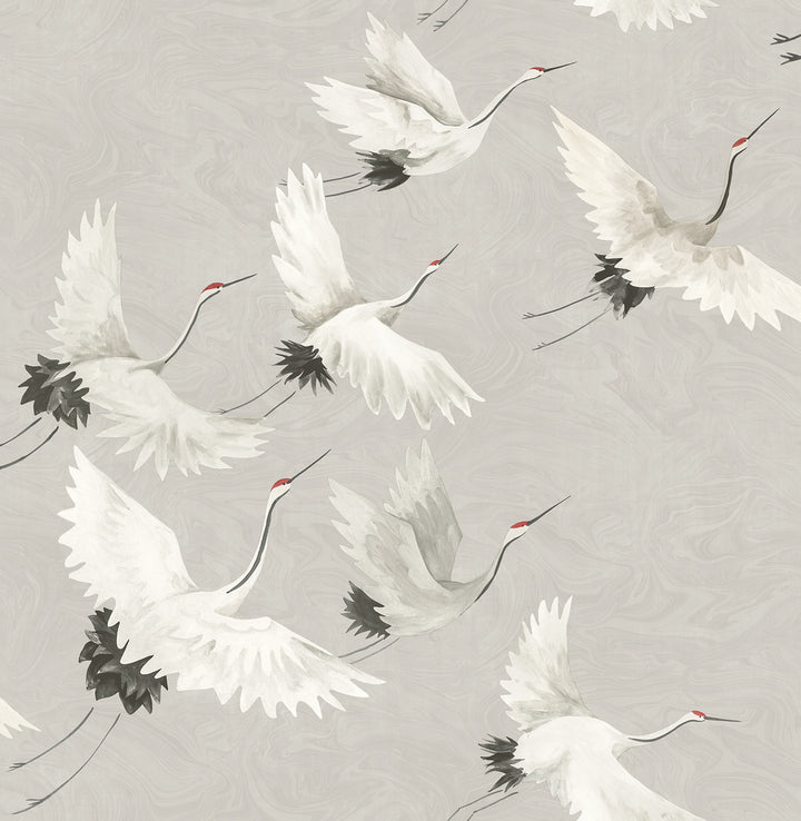Windsong Grey Crane Wallpaper by A-Street Prints Mistral Covers about 56.4 square feet 20.5-in by 33-ft long roll Unpasted 20.8 - Fabric Carolina -