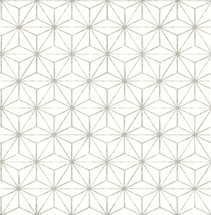 Orion Grey Geometric Wallpaper by A-Street Prints Mistral Covers about 56.4 square feet 20.5-in by 33-ft long roll Unpasted 20.9 - Fabric Carolina -