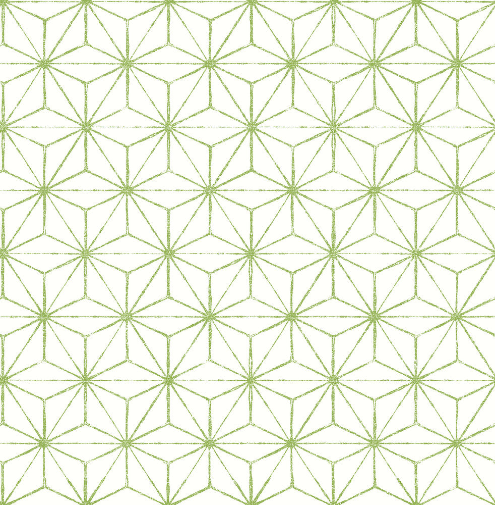 Orion Green Geometric Wallpaper by A-Street Prints Mistral Covers about 56.4 square feet 20.5-in by 33-ft long roll Unpasted 20.9 - Fabric Carolina -