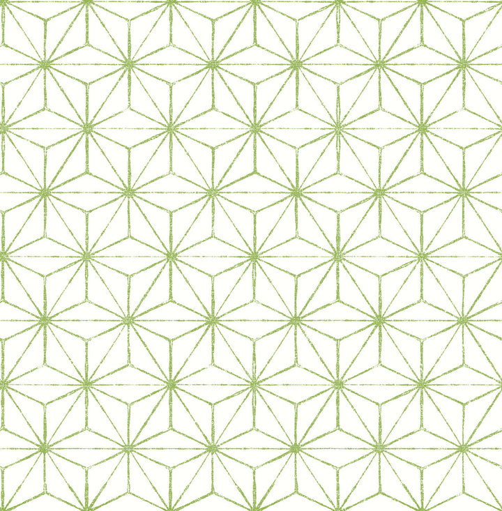 Orion Green Geometric Wallpaper by A-Street Prints Mistral Covers about 56.4 square feet 20.5-in by 33-ft long roll Unpasted 20.9 - Fabric Carolina -
