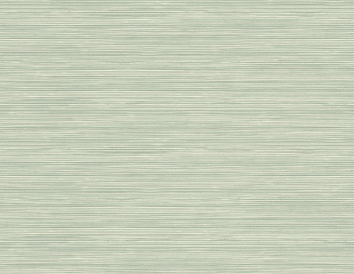 Bondi Seafoam Grasscloth Texture Wallpaper by Kenneth James GeoTex Covers about 60.8 square feet 27-in by 27-ft long roll Unpasted 0 - Fabric Carolina -