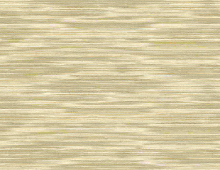 Bondi Wheat Grasscloth Texture Wallpaper by Kenneth James GeoTex Covers about 60.8 square feet 27-in by 27-ft long roll Unpasted 0 - Fabric Carolina -