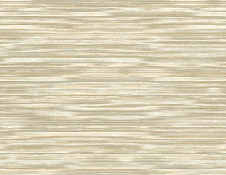 Bondi Neutral Grasscloth Texture Wallpaper by Kenneth James GeoTex Covers about 60.8 square feet 27-in by 27-ft long roll Unpasted 0 - Fabric Carolina -