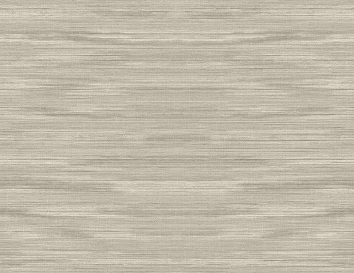 Agena Grey Sisal Wallpaper by Kenneth James GeoTex Covers about 60.8 square feet 27-in by 27-ft long roll Unpasted 0 - Fabric Carolina -
