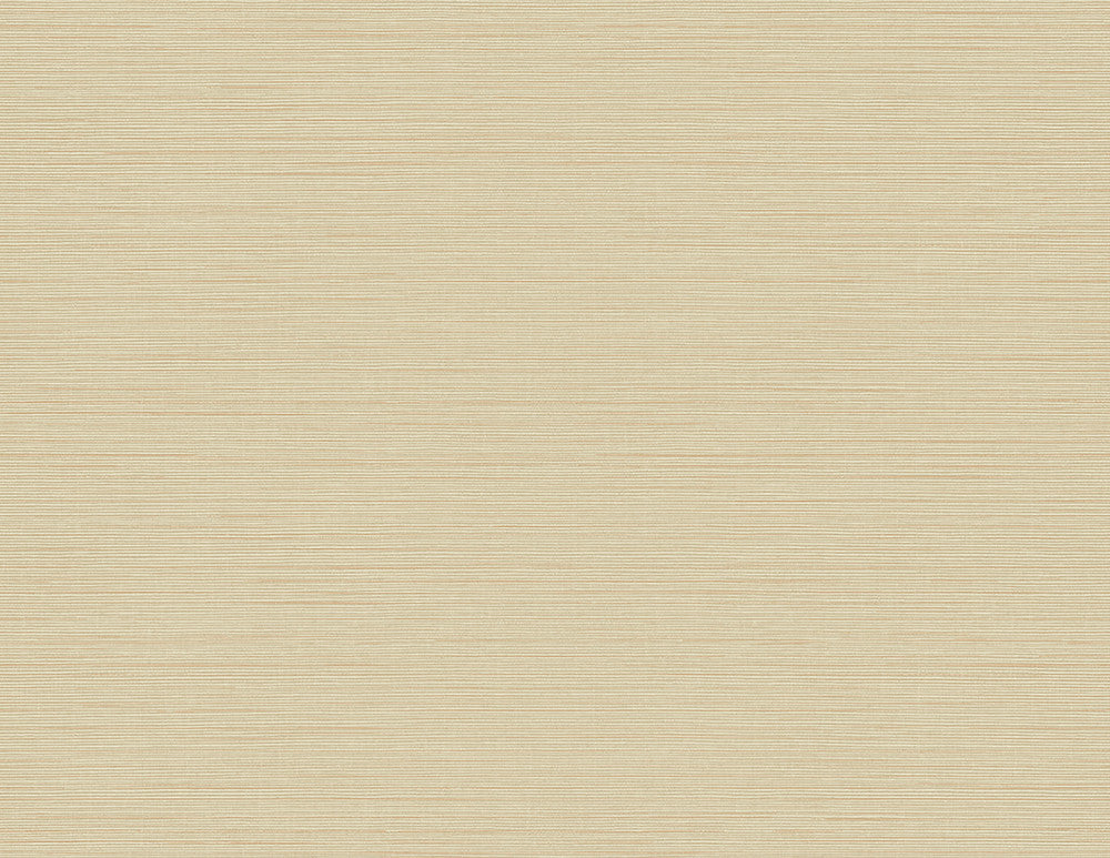 Agena Beige Sisal Wallpaper by Kenneth James GeoTex Covers about 60.8 square feet 27-in by 27-ft long roll Unpasted 0 - Fabric Carolina -
