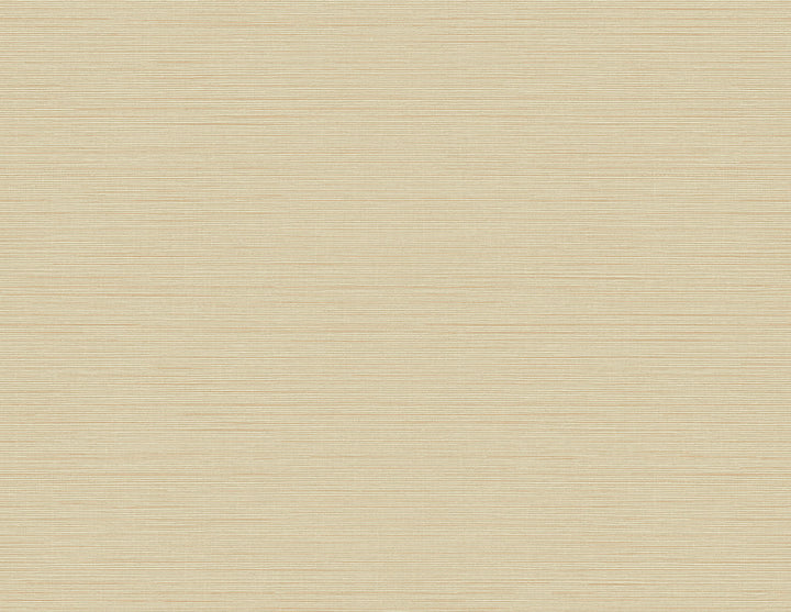 Agena Beige Sisal Wallpaper by Kenneth James GeoTex Covers about 60.8 square feet 27-in by 27-ft long roll Unpasted 0 - Fabric Carolina -