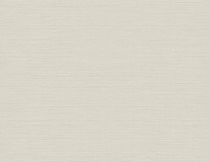Agena Light Grey Sisal Wallpaper by Kenneth James GeoTex Covers about 60.8 square feet 27-in by 27-ft long roll Unpasted 0 - Fabric Carolina -