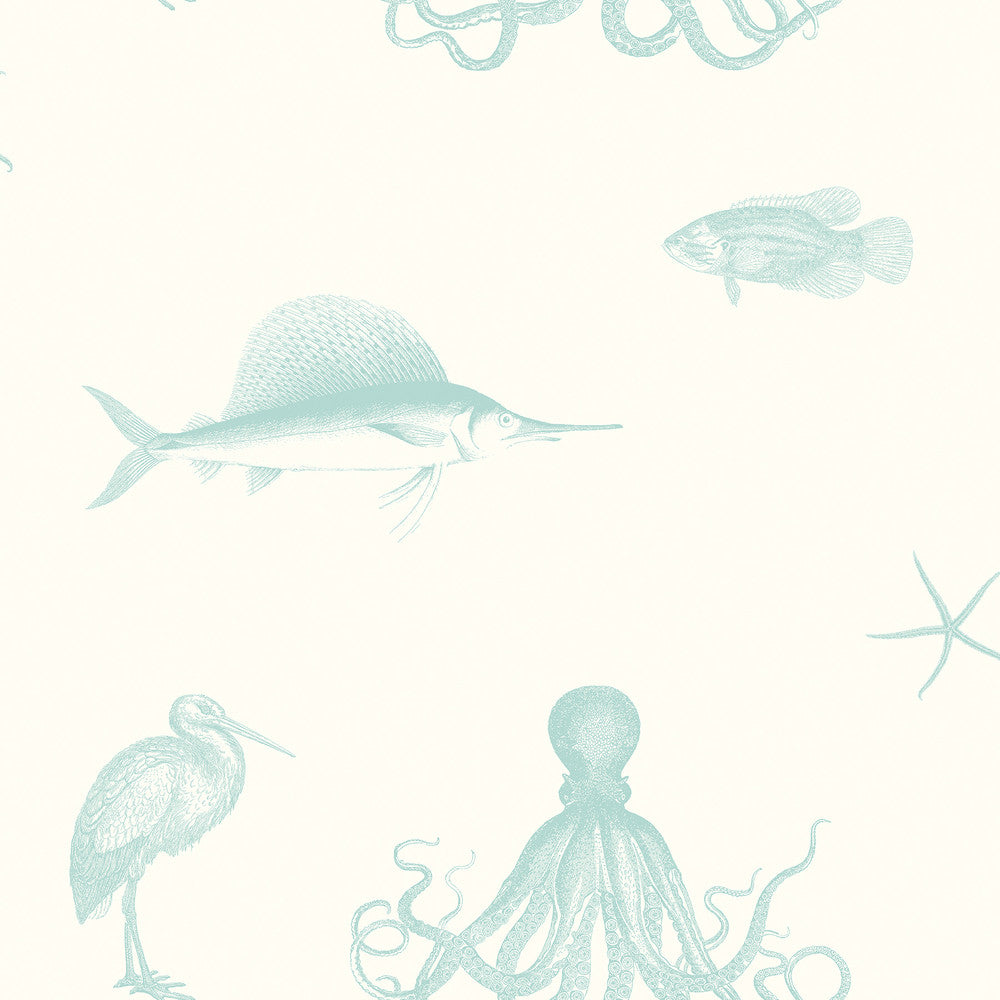 Ventura Aqua Sea Creature Wallpaper by Brewster Kitchen & Bath Essentials Covers about 56.4 square feet 20.5-in by 33-ft long roll Prepasted 20.5 - Fabric Carolina -