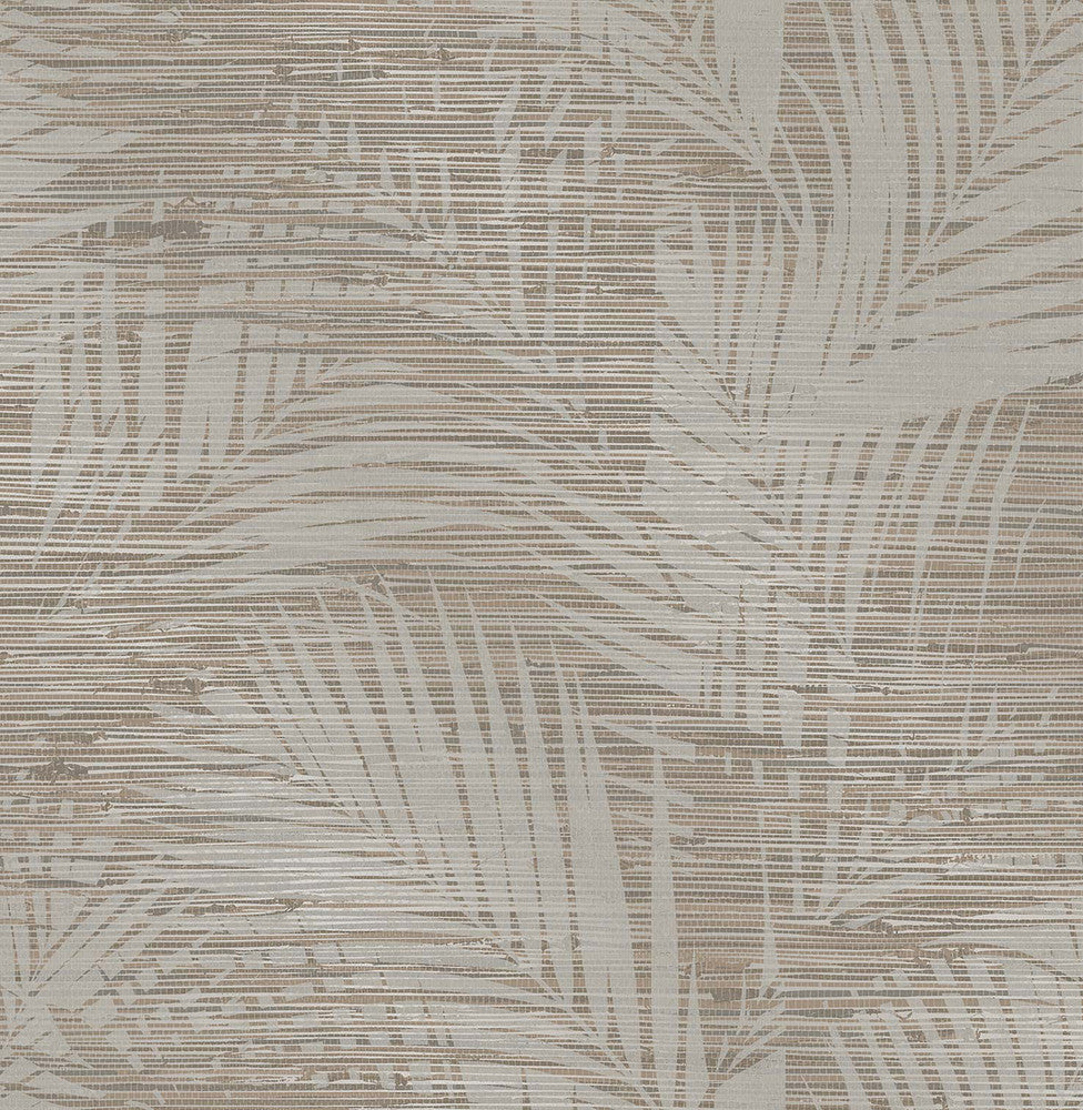 Motmot Taupe Palm Wallpaper by Brewster Kitchen & Bath Essentials Covers about 56.4 square feet 20.5-in by 33-ft long roll Unpasted 20.9 - Fabric Carolina -
