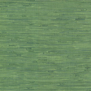 Lycaste Green Weave Texture Wallpaper by Brewster