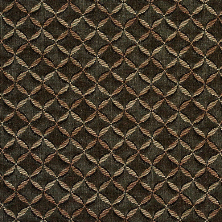2766 Ebony by Charlotte Fabric Durables II 100% Woven Polyester Made In USA Exceeds 100,000 Wyzenbeek Rubs (Heavy Duty) Horizontal: 1" x Vertical: 1" 54 Inches - Fabric Carolina -