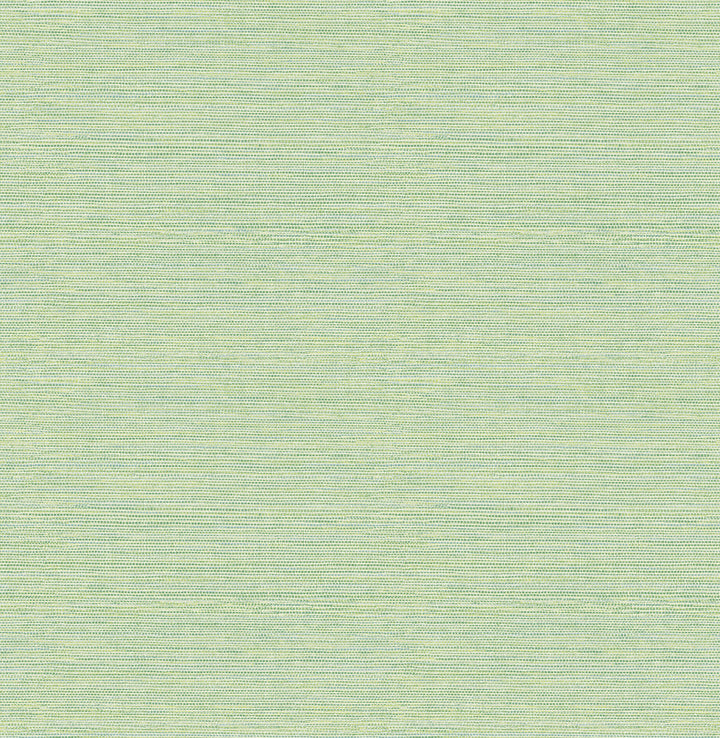 Bluestem Green Grasscloth Wallpaper by Brewster Techniques & Finishes III Covers about 56.4 square feet 20.5-in by 33-ft long roll Unpasted 20.9 - Fabric Carolina -
