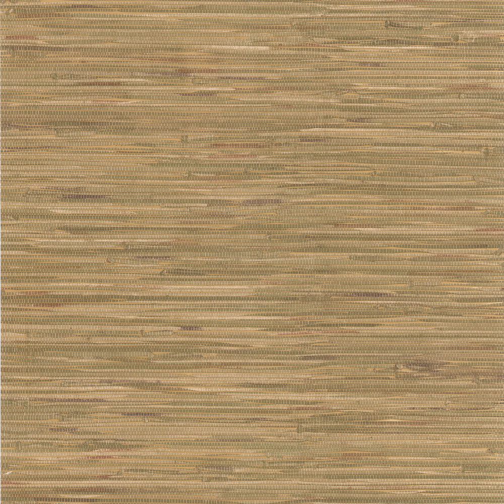 Cate Light Green Vinyl Grasscloth Wallpaper by Brewster Techniques & Finishes III Covers about 56.4 square feet 20.5-in by 33-ft long roll Prepasted 21 - Fabric Carolina -