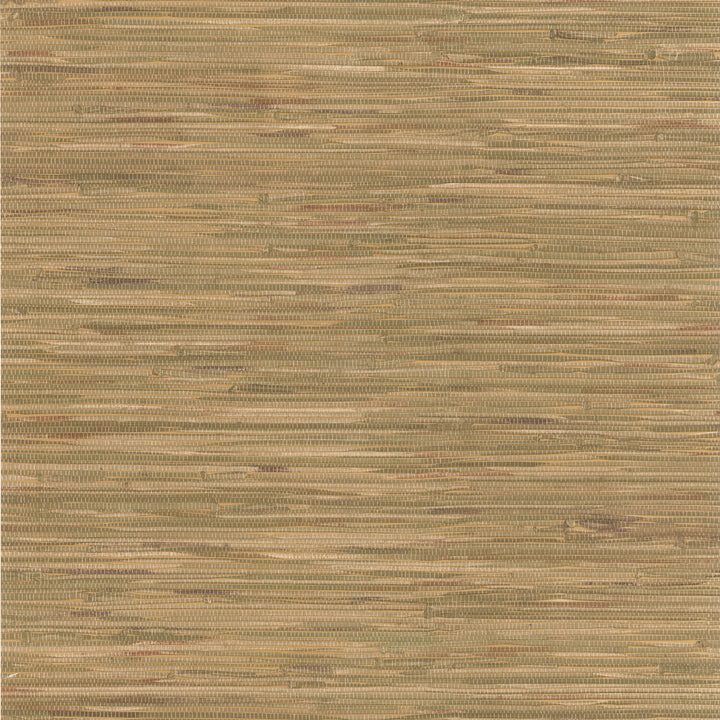 Cate Light Green Vinyl Grasscloth Wallpaper by Brewster Techniques & Finishes III Covers about 56.4 square feet 20.5-in by 33-ft long roll Prepasted 21 - Fabric Carolina -