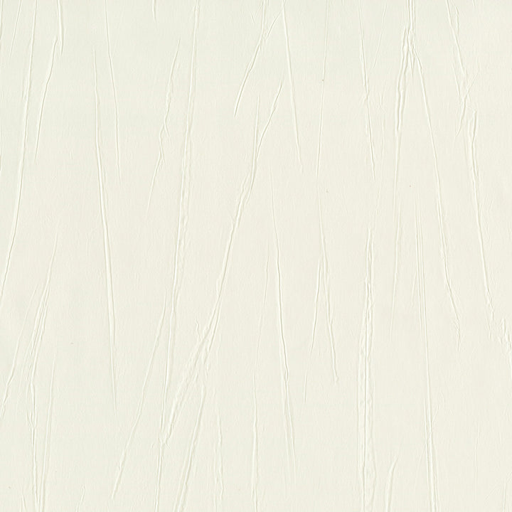 Otis Ivory Crinkle Wallpaper by Advantage Neutral Black White Covers about 56.4 square feet 20.5-in by 33-ft long roll Unpasted 0 - Fabric Carolina -