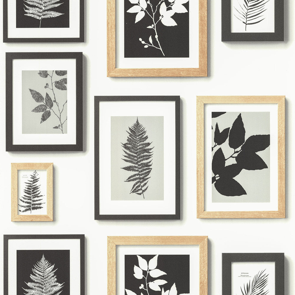 Rumer White Gallery Wall Wallpaper by Advantage Neutral Black White Covers about 56.4 square feet 20.5-in by 33-ft long roll Unpasted 0 - Fabric Carolina -