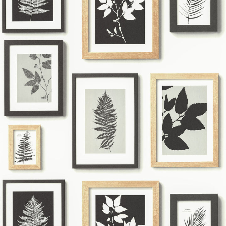 Rumer White Gallery Wall Wallpaper by Advantage Neutral Black White Covers about 56.4 square feet 20.5-in by 33-ft long roll Unpasted 0 - Fabric Carolina -