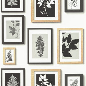 Rumer White Gallery Wall Wallpaper by Advantage