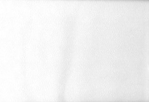 Malkmus Paintable Shell Texture Wallpaper by Brewster