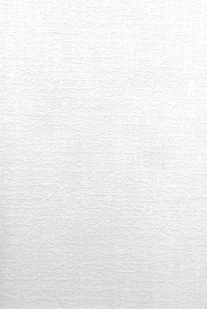 Lou Paintable Plaster Texture Wallpaper by Brewster Paintable Solutions V Covers about 56.4 square feet 20.5-in by 33-ft long roll Prepasted 20.9 - Fabric Carolina -