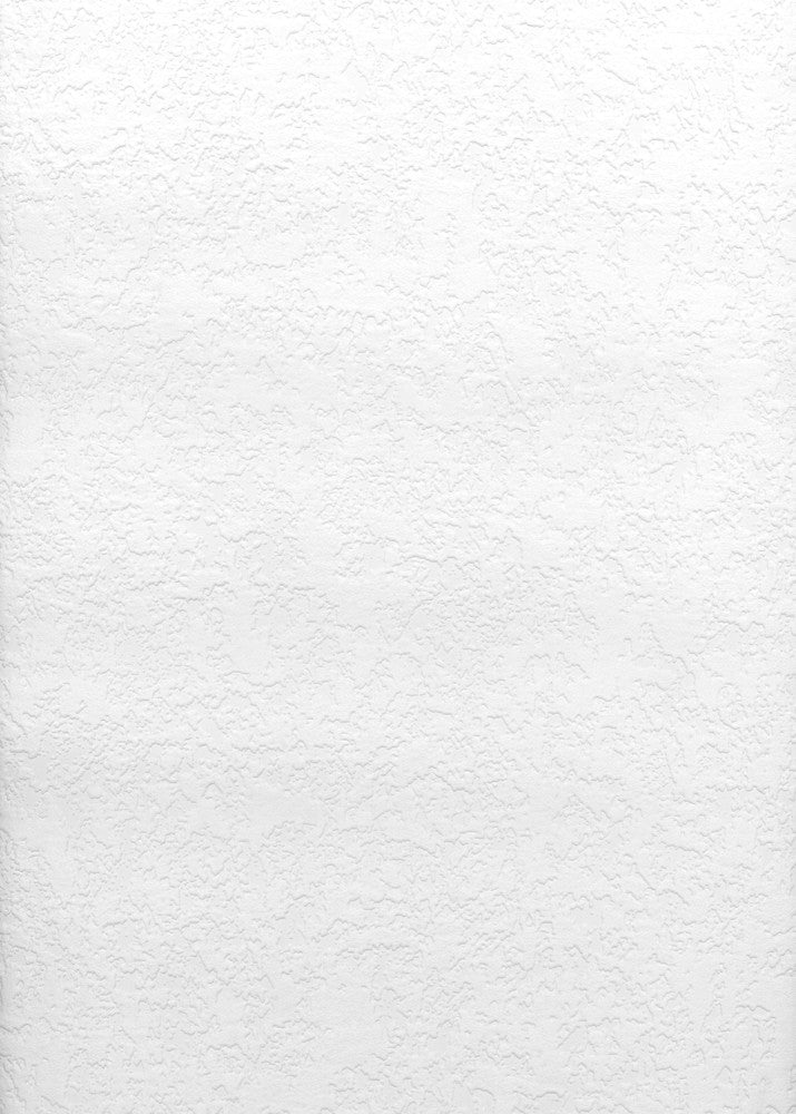 Dunlap Paintable Plaster Texture Wallpaper by Brewster Paintable Solutions V Covers about 56.4 square feet 20.5-in by 33-ft long roll Prepasted 12.5 - Fabric Carolina -