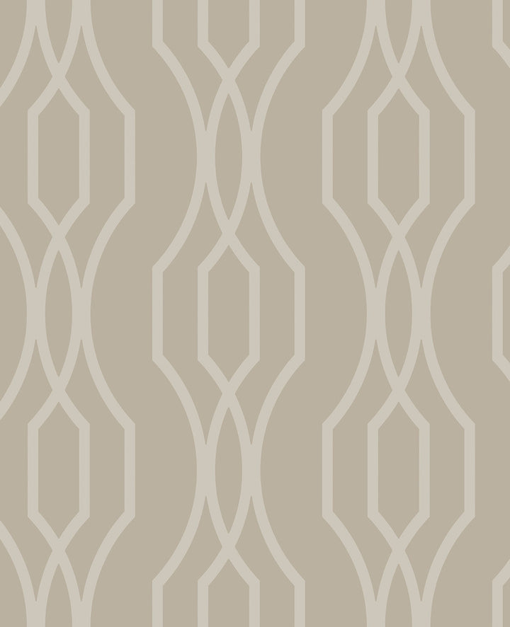 Coventry Taupe Trellis Wallpaper by A-Street Prints Habitat Covers about 56.4 square feet 20.5-in by 33-ft long roll Unpasted 12.5 - Fabric Carolina -