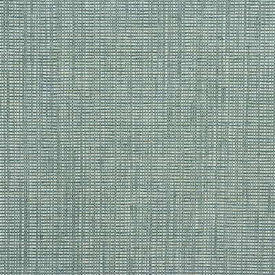 Artisan Robins Egg by Kravet Design Fabric