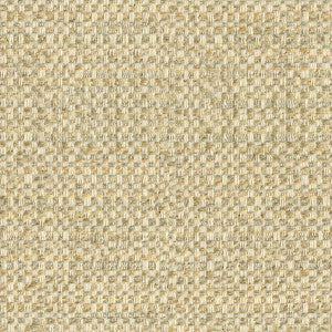 27952-411 by Kravet Design Fabric