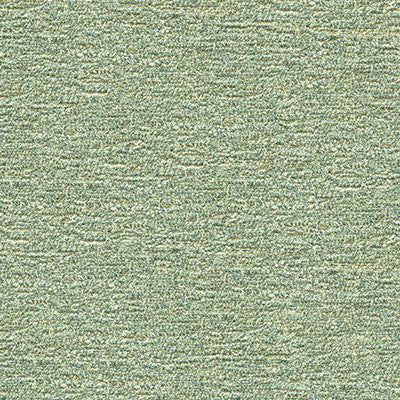 Loofah Eucalyptus by Kravet Design Fabric