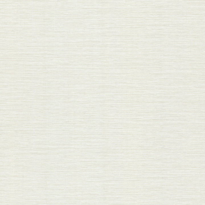 Cape Town Silver Faux Silk Wallpaper by Warner Warner Grasscloth Resource Covers about 60.8 square feet 27-in by 27-ft long roll Unpasted 0 - Fabric Carolina -