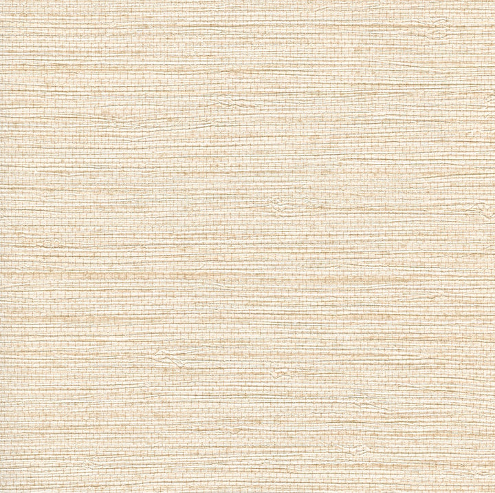 Bali Neutral Seagrass Wallpaper by Warner Warner Grasscloth Resource Covers about 60.8 square feet 27-in by 27-ft long roll Unpasted 0 - Fabric Carolina -