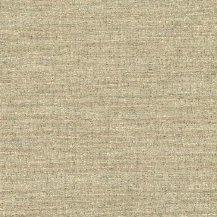 Everest Khaki Faux Grasscloth Wallpaper by Warner Warner Grasscloth Resource Covers about 60.8 square feet 27-in by 27-ft long roll Unpasted 0 - Fabric Carolina -