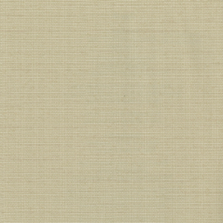 Hamilton Beige Fine Weave Wallpaper by Warner Warner Grasscloth Resource Covers about 60.8 square feet 27-in by 27-ft long roll Unpasted 0 - Fabric Carolina -