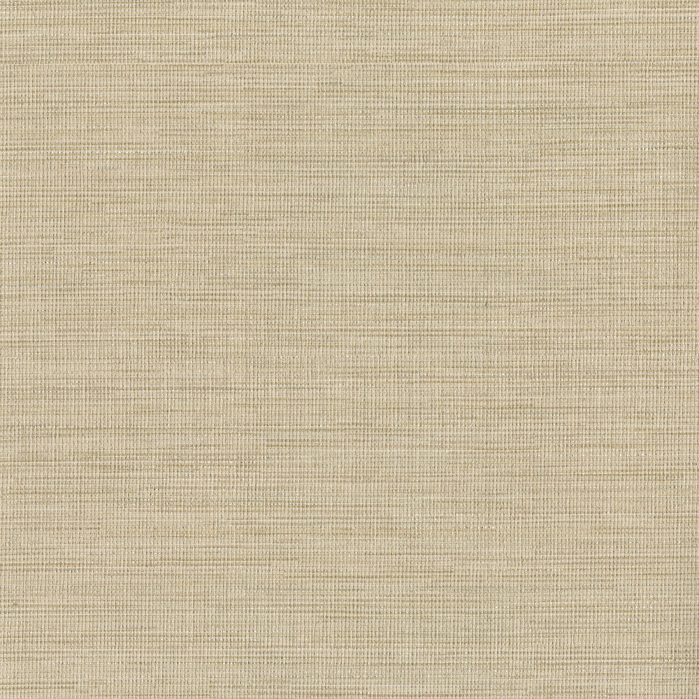 Cape Town Beige Faux Silk Wallpaper by Warner Warner Grasscloth Resource Covers about 60.8 square feet 27-in by 27-ft long roll Unpasted 0 - Fabric Carolina -
