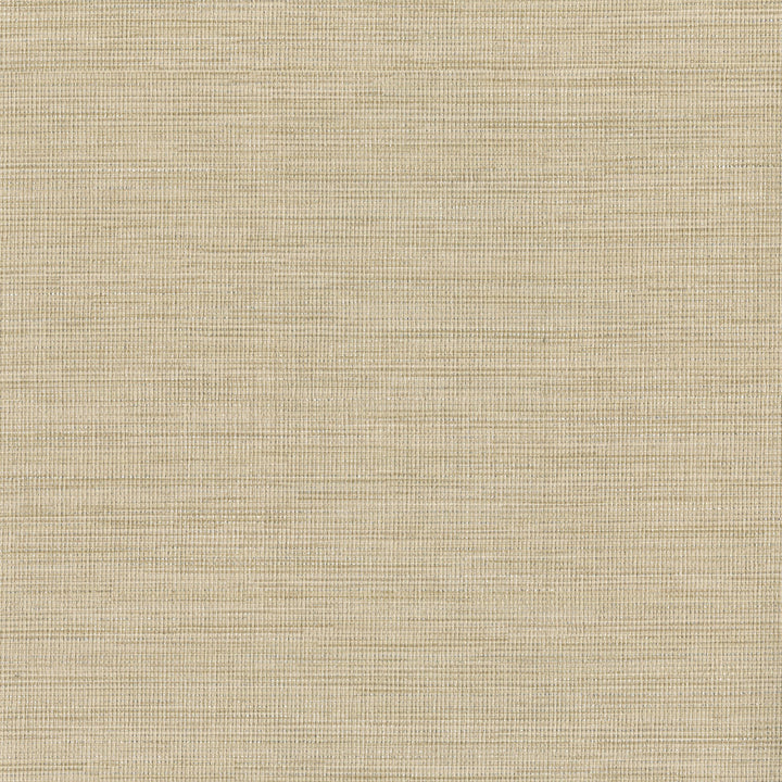 Cape Town Beige Faux Silk Wallpaper by Warner Warner Grasscloth Resource Covers about 60.8 square feet 27-in by 27-ft long roll Unpasted 0 - Fabric Carolina -
