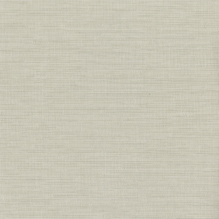 Cape Town Dove Faux Silk Wallpaper by Warner Warner Grasscloth Resource Covers about 60.8 square feet 27-in by 27-ft long roll Unpasted 0 - Fabric Carolina -