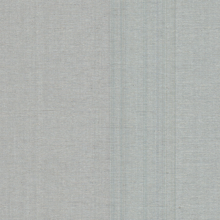 Aspero Silver Faux Silk Wallpaper by Warner Warner Grasscloth Resource Covers about 60.8 square feet 27-in by 27-ft long roll Unpasted 0 - Fabric Carolina -