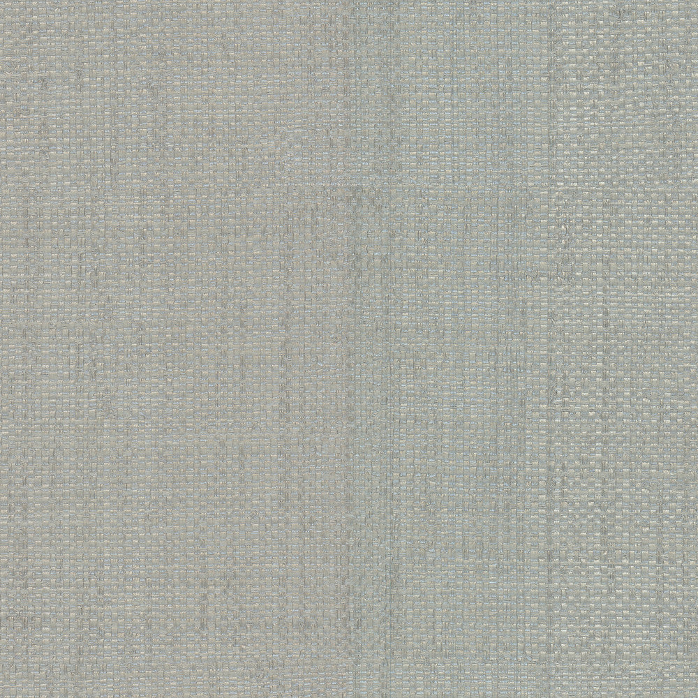 Caviar Silver Basketweave Wallpaper by Warner Warner Grasscloth Resource Covers about 60.8 square feet United States Unpasted No repeat, random match 27-in by 27-ft long roll - Fabric Carolina -