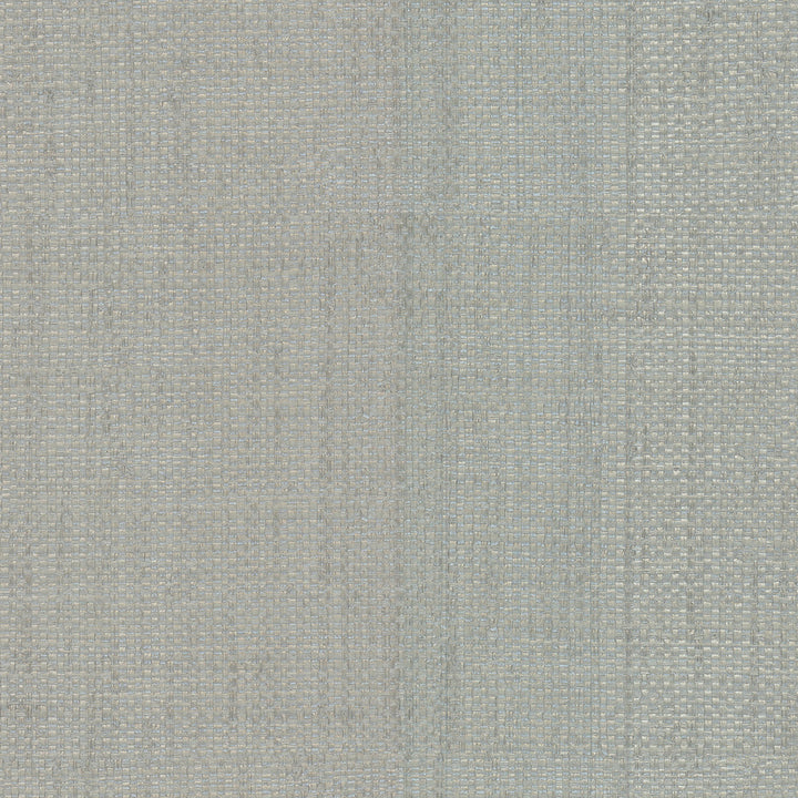 Caviar Silver Basketweave Wallpaper by Warner Warner Grasscloth Resource Covers about 60.8 square feet United States Unpasted No repeat, random match 27-in by 27-ft long roll - Fabric Carolina -